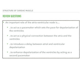 STRUCTURE OF CARDIAC MUSCLE
REVIEW QUESTIONS
‣ An important role of the atrio-ventricular node is…
‣ ..to act as a pacemaker which sets the pace for depolarization of
the ventricles
‣ ..to act as a physical connection between the atria and the
ventricles
‣ ..to introduce a delay between atrial and ventricular
depolarization
‣ ..to enhance depolarization of the ventricles by acting as a
second pacemaker
 