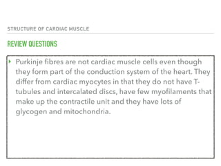 STRUCTURE OF CARDIAC MUSCLE
REVIEW QUESTIONS
‣ Purkinje fibres are not cardiac muscle cells even though
they form part of the conduction system of the heart. They
differ from cardiac myocytes in that they do not have T-
tubules and intercalated discs, have few myofilaments that
make up the contractile unit and they have lots of
glycogen and mitochondria.
 