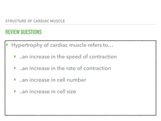 STRUCTURE OF CARDIAC MUSCLE
REVIEW QUESTIONS
‣ Hypertrophy of cardiac muscle refers to…
‣ ..an increase in the speed of contraction
‣ ..an increase in the rate of contraction
‣ ..an increase in cell number
‣ ..an increase in cell size
 