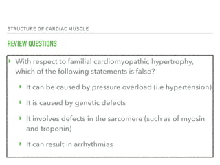 STRUCTURE OF CARDIAC MUSCLE
REVIEW QUESTIONS
‣ With respect to familial cardiomyopathic hypertrophy,
which of the following statements is false?
‣ It can be caused by pressure overload (i.e hypertension)
‣ It is caused by genetic defects
‣ It involves defects in the sarcomere (such as of myosin
and troponin)
‣ It can result in arrhythmias
 