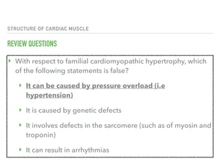 STRUCTURE OF CARDIAC MUSCLE
REVIEW QUESTIONS
‣ With respect to familial cardiomyopathic hypertrophy, which
of the following statements is false?
‣ It can be caused by pressure overload (i.e
hypertension)
‣ It is caused by genetic defects
‣ It involves defects in the sarcomere (such as of myosin and
troponin)
‣ It can result in arrhythmias
 