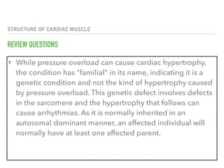 STRUCTURE OF CARDIAC MUSCLE
REVIEW QUESTIONS
‣ While pressure overload can cause cardiac hypertrophy,
the condition has "familial" in its name, indicating it is a
genetic condition and not the kind of hypertrophy caused
by pressure overload. This genetic defect involves defects
in the sarcomere and the hypertrophy that follows can
cause arrhythmias. As it is normally inherited in an
autosomal dominant manner, an affected individual will
normally have at least one affected parent.
 