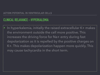 ACTION POTENTIAL IN VENTRICULAR CELLS
CLINICAL RELAVANCE - HYPERKALEMIA
‣ In hyperkalemia, initially the raised extracellular K+ makes
the environment outside the cell more positive. This
increases the driving force for Na+ entry during fast
depolarization as it is repelled by the positive charges on
K+. This makes depolarization happen more quickly. This
may cause tachycardia in the short term.
 