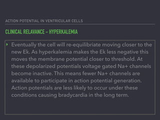 ACTION POTENTIAL IN VENTRICULAR CELLS
CLINICAL RELAVANCE - HYPERKALEMIA
‣ Eventually the cell will re-equilibriate moving closer to the
new Ek. As hyperkalemia makes the Ek less negative this
moves the membrane potential closer to threshold. At
these depolarized potentials voltage gated Na+ channels
become inactive. This means fewer Na+ channels are
available to participate in action potential generation.
Action potentials are less likely to occur under these
conditions causing bradycardia in the long term.
 