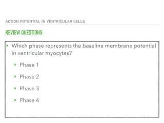ACTION POTENTIAL IN VENTRICULAR CELLS
REVIEW QUESTIONS
‣ Which phase represents the baseline membrane potential
in ventricular myocytes?
‣ Phase 1
‣ Phase 2
‣ Phase 3
‣ Phase 4
 