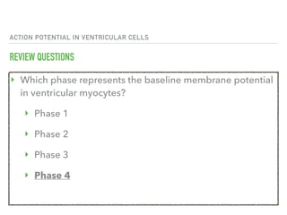 ACTION POTENTIAL IN VENTRICULAR CELLS
REVIEW QUESTIONS
‣ Which phase represents the baseline membrane potential
in ventricular myocytes?
‣ Phase 1
‣ Phase 2
‣ Phase 3
‣ Phase 4
 