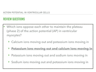 ACTION POTENTIAL IN VENTRICULAR CELLS
REVIEW QUESTIONS
‣ Which ions oppose each other to maintain the plateau
(phase 2) of the action potential (AP) in ventricular
myocytes?
‣ Calcium ions moving out and potassium ions moving in
‣ Potassium ions moving out and calcium ions moving in
‣ Potassium ions moving out and sodium ions moving in
‣ Sodium ions moving out and potassium ions moving in
 