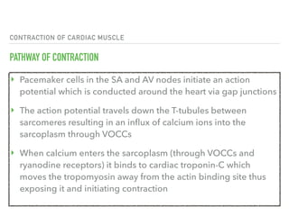 CONTRACTION OF CARDIAC MUSCLE
PATHWAY OF CONTRACTION
‣ Pacemaker cells in the SA and AV nodes initiate an action
potential which is conducted around the heart via gap junctions
‣ The action potential travels down the T-tubules between
sarcomeres resulting in an influx of calcium ions into the
sarcoplasm through VOCCs
‣ When calcium enters the sarcoplasm (through VOCCs and
ryanodine receptors) it binds to cardiac troponin-C which
moves the tropomyosin away from the actin binding site thus
exposing it and initiating contraction
 