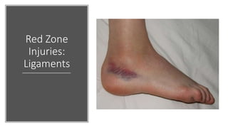 Injury & Rehabilitation (Part 1 of 3) | PPTX