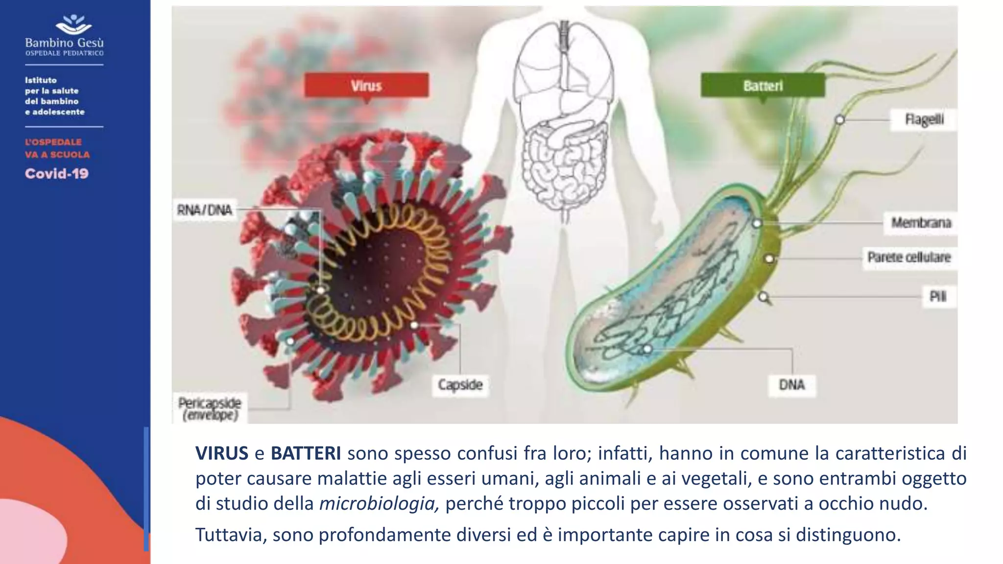1.1 Differenza tra virus e batteri | PPTX