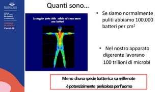 Quanti sono…
• Se siamo normalmente
puliti abbiamo 100.000
batteri per cm2
• Nel nostro apparato
digerente lavorano
100 trilioni di microbi
Meno diunaspeciebatterica sumillenote
èpotenzialmente pericolosaperl’uomo
 