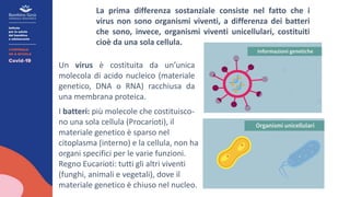 La prima differenza sostanziale consiste nel fatto che i
virus non sono organismi viventi, a differenza dei batteri
che sono, invece, organismi viventi unicellulari, costituiti
cioè da una sola cellula.
I batteri: più molecole che costituisco-
no una sola cellula (Procarioti), il
materiale genetico è sparso nel
citoplasma (interno) e la cellula, non ha
organi specifici per le varie funzioni.
Regno Eucarioti: tutti gli altri viventi
(funghi, animali e vegetali), dove il
materiale genetico è chiuso nel nucleo.
Un virus è costituita da un’unica
molecola di acido nucleico (materiale
genetico, DNA o RNA) racchiusa da
una membrana proteica.
 