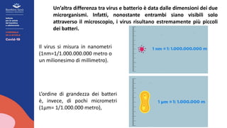Un’altra differenza tra virus e batterio è data dalle dimensioni dei due
microrganismi. Infatti, nonostante entrambi siano visibili solo
attraverso il microscopio, i virus risultano estremamente più piccoli
dei batteri.
L’ordine di grandezza dei batteri
è, invece, di pochi micrometri
(1µm= 1/1.000.000 metro),
Il virus si misura in nanometri
(1nm=1/1.000.000.000 metro o
un milionesimo di millimetro).
 