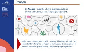Le Zoonosi, malattie che si propagano da un
animale all’uomo, sono sempre più frequenti.
ZOONOSI
Molti virus, soprattutto quelli a singolo filamento di RNA, ma
anche batteri, funghi e protozoi, sono in grado di attraversare la
barriera di specie grazie alle mutazioni del proprio genoma.
 