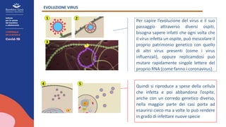 EVOLUZIONE VIRUS
1 2
3
4 5
Per capire l’evoluzione del virus e il suo
passaggio attraverso diversi ospiti,
bisogna sapere infatti che ogni volta che
il virus infetta un ospite, può mescolare il
proprio patrimonio genetico con quello
di altri virus presenti (come i virus
influenzali), oppure replicamdosi può
mutare rapidamente singole lettere del
proprio RNA (come fanno i coronavirus).
Quindi si riproduce a spese della cellula
che infetta e poi abbandona l’ospite,
anche con un corredo genetico diverso,
nella maggior parte dei casi porta ad
esaurirsi cieco ma a volte lo può rendere
in grado di infettare nuove specie
 