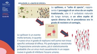 SPILLOVER, IL «SALTO DI SPECIE»
Lo spillover, o “salto di specie”, rappre-
senta il passaggio di un virus da un ospite
tradizionale, che è il serbatoio naturale
da lungo tempo, a un altro ospite di
specie diversa che in precedenza era in
grado di resistere al contagio.
Lo spillover è un evento
molto temuto, in quanto
il nuovo virus in grado di replicarsi nell’uomo non trova gli
specifici anticorpi di difesa. Più prolungata e ravvicinata è
è l'esposizione animale-uomo, più è statisticamente
probabile che un virus muti casualmente in un ceppo
nuovo in grado di infettare l'essere umano.
 
