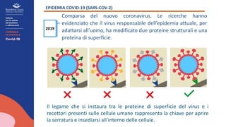 EPIDEMIA COVID-19 (SARS-COV-2)
Comparsa del nuovo coronavirus. Le ricerche hanno
evidenziato che il virus responsabile dell’epidemia attuale, per
adattarsi all’uomo, ha modificato due proteine strutturali e una
proteina di superficie.
2019
Il legame che si instaura tra le proteine di superficie del virus e i
recettori presenti sulle cellule umane rappresenta la chiave per aprire
la serratura e insediarsi all’interno delle cellule.
 