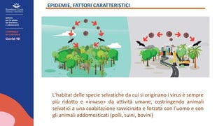 L'habitat delle specie selvatiche da cui si originano i virus è sempre
più ridotto e «invaso» da attività umane, costringendo animali
selvatici a una coabitazione ravvicinata e forzata con l'uomo e con
gli animali addomesticati (polli, suini, bovini)
EPIDEMIE, FATTORI CARATTERISTICI
 