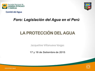 LA PROTECCIÓN DEL AGUA
Jacqueline Villanueva Vargas
Foro: Legislación del Agua en el Perú
Comité del Agua
 