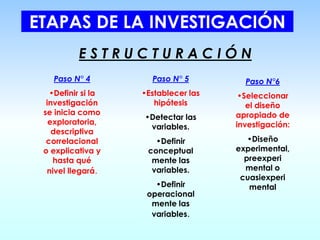 ETAPAS DE LA INVESTIGACIÓN
Paso N° 4
•Definir si la
investigación
se inicia como
exploratoria,
descriptiva
correlacional
o explicativa y
hasta qué
nivel llegará.
Paso N° 5
•Establecer las
hipótesis
•Detectar las
variables.
•Definir
conceptual
mente las
variables.
•Definir
operacional
mente las
variables.
Paso N°6
•Seleccionar
el diseño
apropiado de
investigación:
•Diseño
experimental,
preexperi
mental o
cuasiexperi
mental
E S T R U C T U R A C I Ó N
 