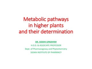 Metabolic pathways
in higher plants
and their determination
DR. SIDDHI UPADHYAY
H.O.D. & ASSOCIATE PROFESSOR
Dept. of Pharmacognosy and Phytochemistry
SIGMA INSTITUTE OF PHARMACY
 