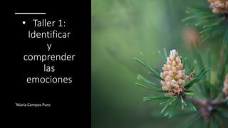 • Taller 1:
Identificar
y
comprender
las
emociones
´María Campos Puro
 