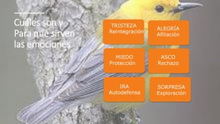 Cuáles son y
Para qué sirven
las emociones
11/2/20XX 10
 