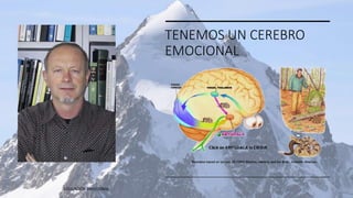 TENEMOS UN CEREBRO
EMOCIONAL
EDUCACIÓN EMOCIONAL 11/2/20XX 4
 