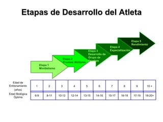 Etapas de Desarrollo del Atleta
Etapas de Desarrollo del Atleta
Etapa 1
Minitletismo
Etapa 2
Pruebas Múltiples
Etapa 3
Desarrollo de
Grupo de
Pruebas
Etapa 4
Especialización
Etapa 5
Rendimiento
Edad de
Entrenamiento
(años)
1 2 3 4 5 6 7 8 9 10 +
Edad Biológica
Óptima
6-9 8-11 10-13 12-14 13-15 14-16 15-17 16-18 17-19 18-20+
 