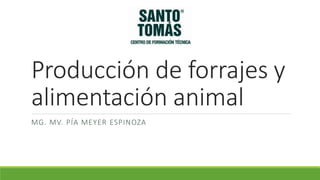Producción de forrajes y
alimentación animal
MG. MV. PÍA MEYER ESPINOZA
 