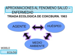 TRIADA ECOLOGICA DE COKCBURN. 1963
AGENTE HUÉSPED
MEDIO
AMBIENTE
APROXIMACIONES AL FENOMENO SALUD –
ENFERMEDAD
MODELO
ECOLÓGI
 