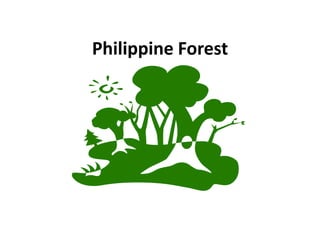 Philippine Forest
 