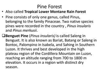 Introduction to Forestry (Philippines) | PPTX