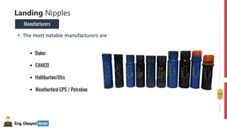 Eng.Elsayed Amer
P
A
G
E
124
Well
completion
Landing Nipples
• The most notable manufacturers are
▪ Baker
▪ CAMCO
▪ Halliburton/Otis
▪ Weatherford CPS / Petroline
Manufacturers
 