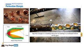 Eng.Elsayed Amer
P
A
G
E
61
Well
completion
Well Completion
Perforation Charges
Well Completion
Big Hole charges in a loading tube prior to loading in a scalloped hollow
carrier gun.
 