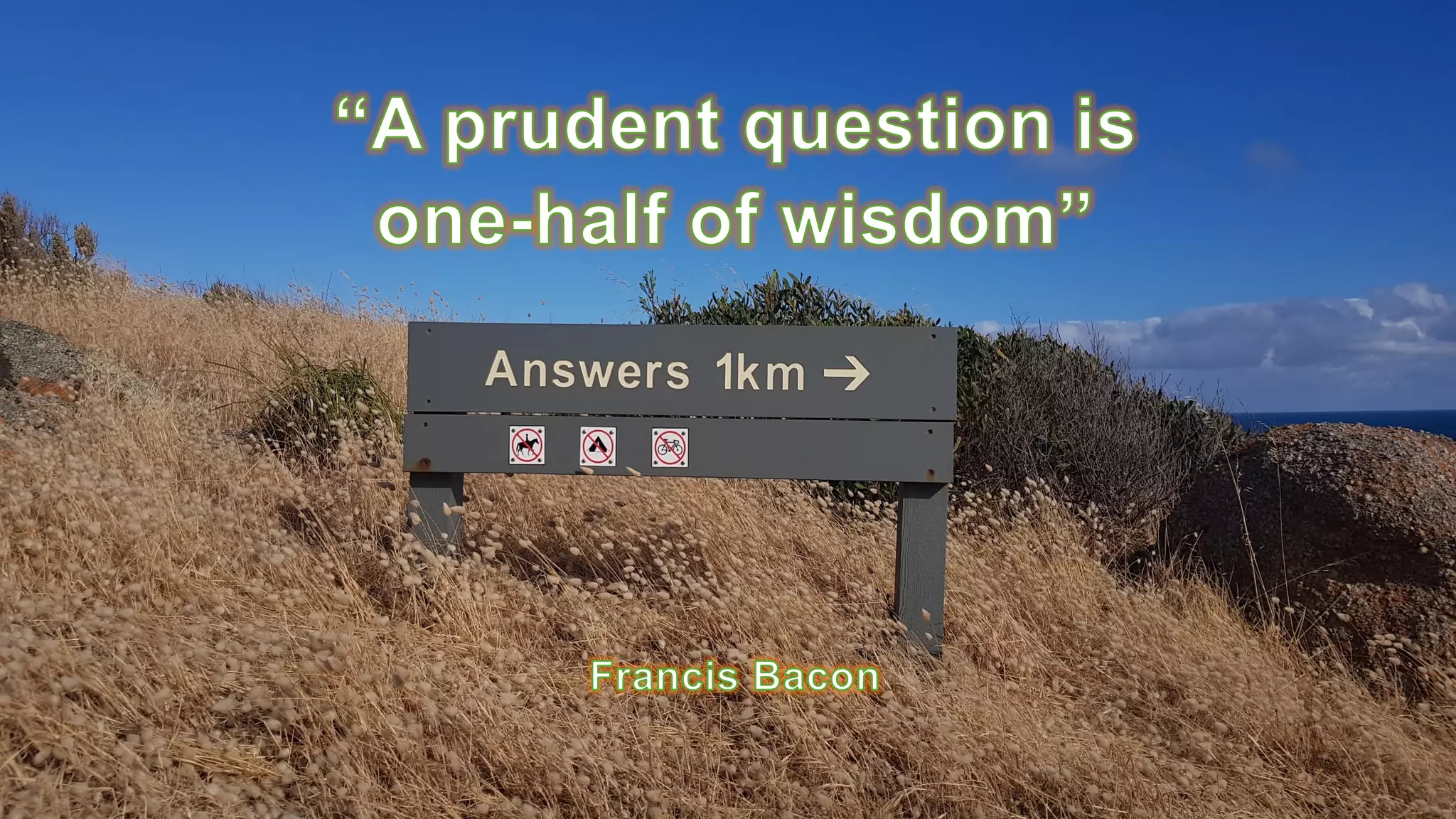 Like Running to Catch a Moving Train: Positive Ageing in a Digital Society