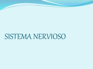 SISTEMA NERVIOSO
 
