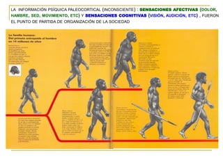 LA INFORMACIÓN PSÍQUICA PALEOCORTICAL (INCONSCIENTE) : SENSACIONES AFECTIVAS (DOLOR,
HAMBRE, SED, MOVIMIENTO, ETC) Y SENSACIONES COGNITIVAS (VISIÓN, AUDICIÓN, ETC) , FUERON
EL PUNTO DE PARTIDA DE ORGANIZACIÓN DE LA SOCIEDAD
 
