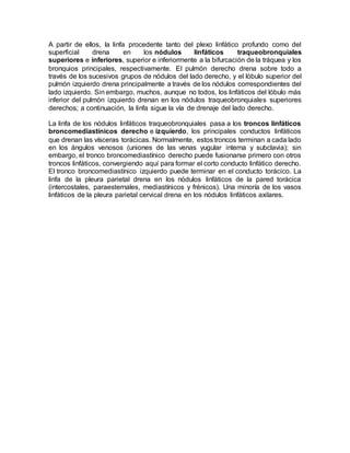 A partir de ellos, la linfa procedente tanto del plexo linfático profundo como del
superficial drena en los nódulos linfáticos traqueobronquiales
superiores e inferiores, superior e inferiormente a la bifurcación de la tráquea y los
bronquios principales, respectivamente. El pulmón derecho drena sobre todo a
través de los sucesivos grupos de nódulos del lado derecho, y el lóbulo superior del
pulmón izquierdo drena principalmente a través de los nódulos correspondientes del
lado izquierdo. Sin embargo, muchos, aunque no todos, los linfáticos del lóbulo más
inferior del pulmón izquierdo drenan en los nódulos traqueobronquiales superiores
derechos; a continuación, la linfa sigue la vía de drenaje del lado derecho.
La linfa de los nódulos linfáticos traqueobronquiales pasa a los troncos linfáticos
broncomediastínicos derecho e izquierdo, los principales conductos linfáticos
que drenan las vísceras torácicas. Normalmente, estos troncos terminan a cada lado
en los ángulos venosos (uniones de las venas yugular interna y subclavia); sin
embargo, el tronco broncomediastínico derecho puede fusionarse primero con otros
troncos linfáticos, convergiendo aquí para formar el corto conducto linfático derecho.
El tronco broncomediastínico izquierdo puede terminar en el conducto torácico. La
linfa de la pleura parietal drena en los nódulos linfáticos de la pared torácica
(intercostales, paraesternales, mediastínicos y frénicos). Una minoría de los vasos
linfáticos de la pleura parietal cervical drena en los nódulos linfáticos axilares.
 