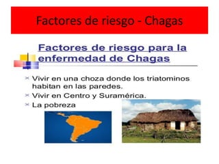 Factores de riesgo - Chagas
 
