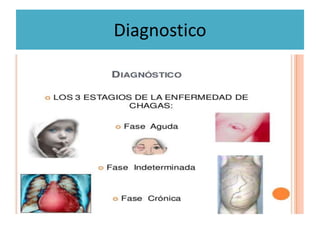Diagnostico
 