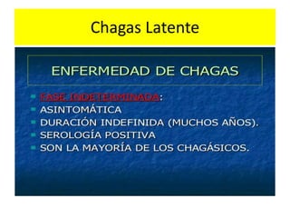 Chagas Latente
 