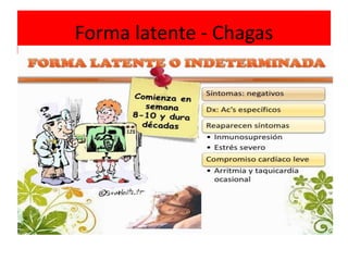 Forma latente - Chagas
 