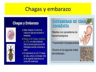 Chagas y embarazo
 