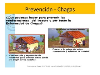 Prevención - Chagas
 