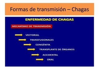 Formas de transmisión – Chagas
 