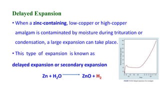 Delayed Expansion
• When a zinc-containing, low-copper or high-copper
amalgam is contaminated by moisture during trituration or
condensation, a large expansion can take place.
• This type of expansion is known as
delayed expansion or secondary expansion
Zn + H2O ZnO + H2
 