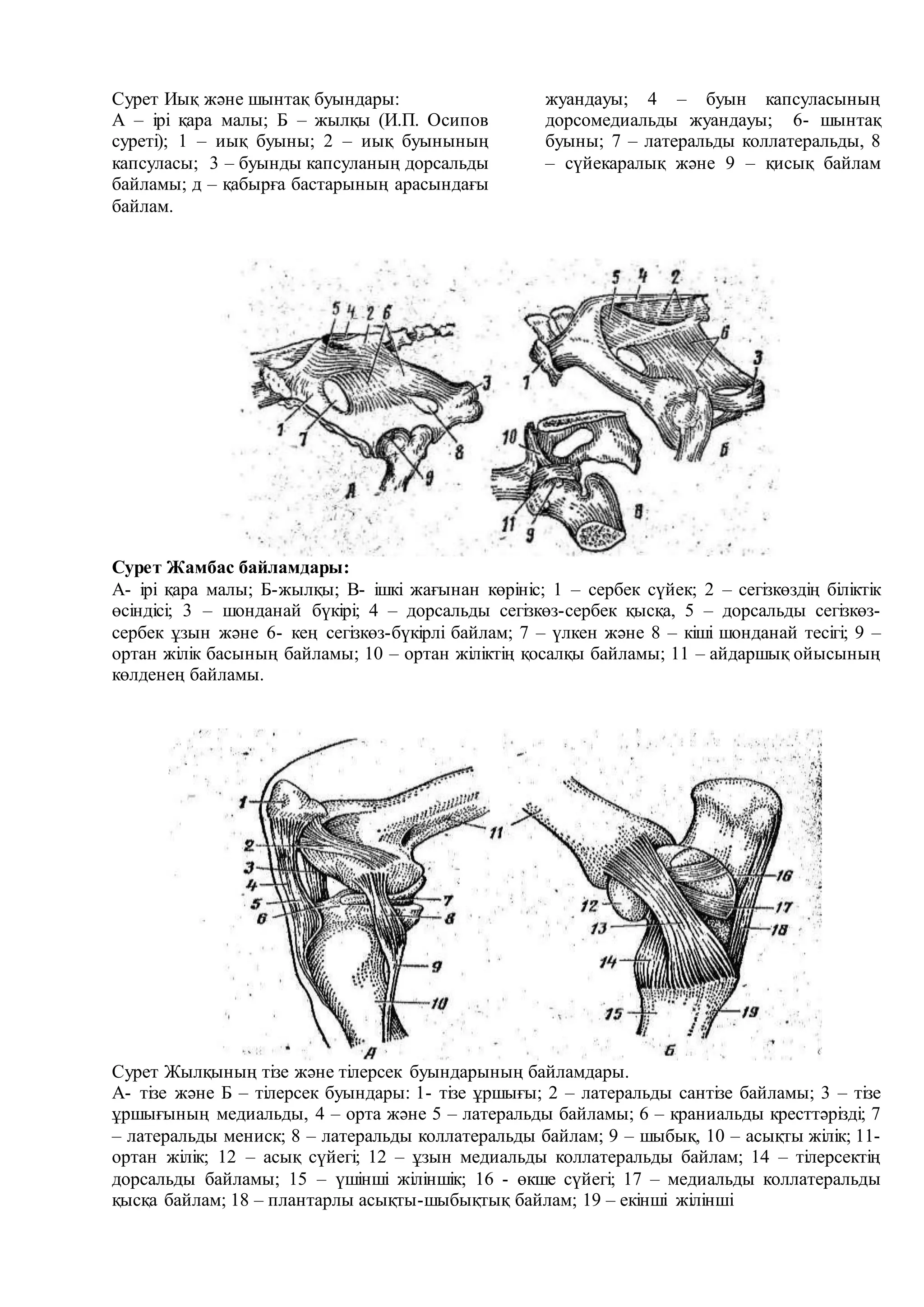 Омбыда секс үшін қыздар телефон нөмірлері