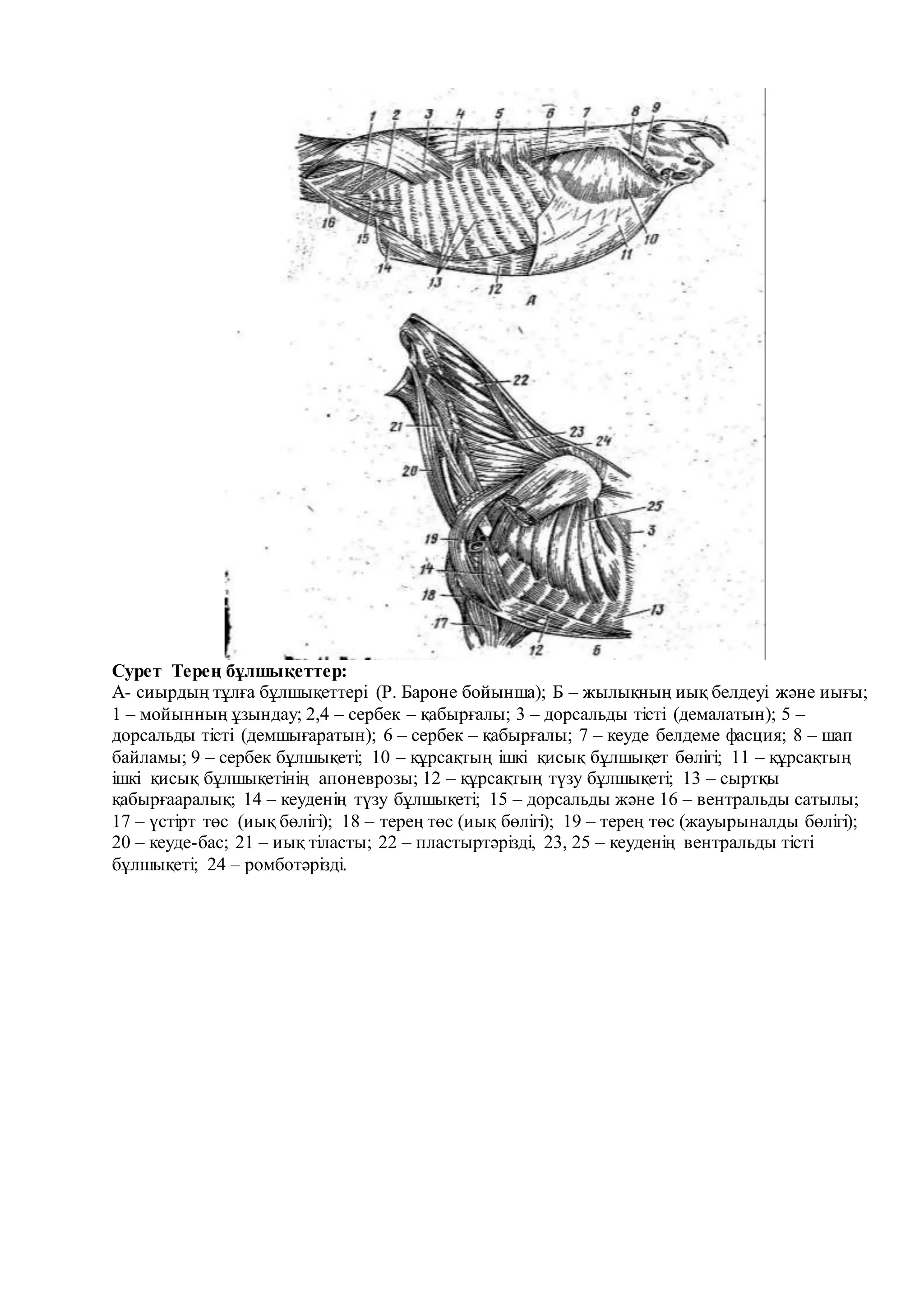Ресейлік студенттер порнографиялық емтихан тапсырады