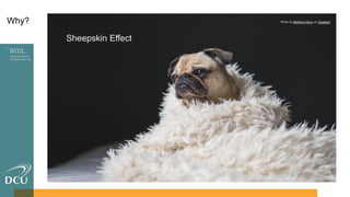 Photo by Matthew Henry on Unsplash
Sheepskin Effect
Why?
 